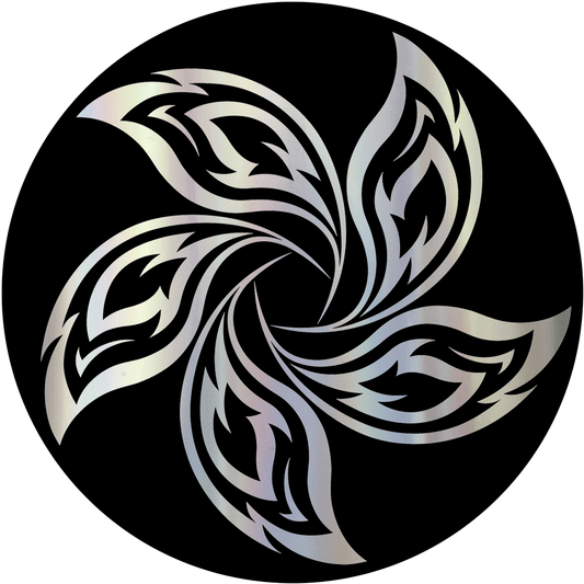 BS-LD-HoloGhost